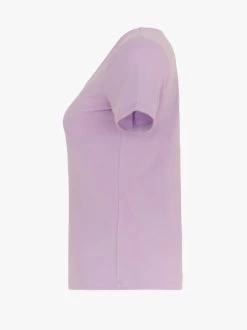 Dolcezza Essential Top 24501 (many Colours) 14 Dolcezza Essential Top 24501 (many Colours) -Fashion Clothing Line Store 24501 lavender side