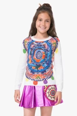 Desigual Sweater "Aderson"