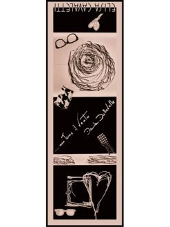 Elisa Cavaletti Silk Scarf (ELW210856802)