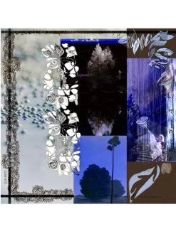 Elisa Cavaletti Silk Scarf (ELW210856810)